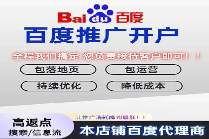 百度联盟推广网络覆盖的案例研究